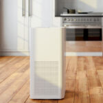 Do I Need an Air Purifier for Asthma?