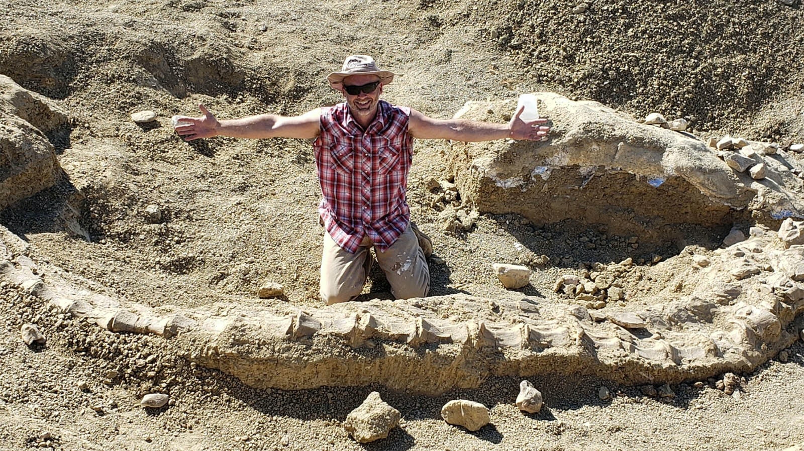 Paleontologist Jason Schein, executive director of Elevation Science Institute, shows off the articulated tail of a 150-million-year-old long-necked sauropod from the Late Jurassic Period. The tail is among thousands of other dinosaur bones found in the Anderson Site on the Montana side of the Bighorn Basin near Bridger, Montana.