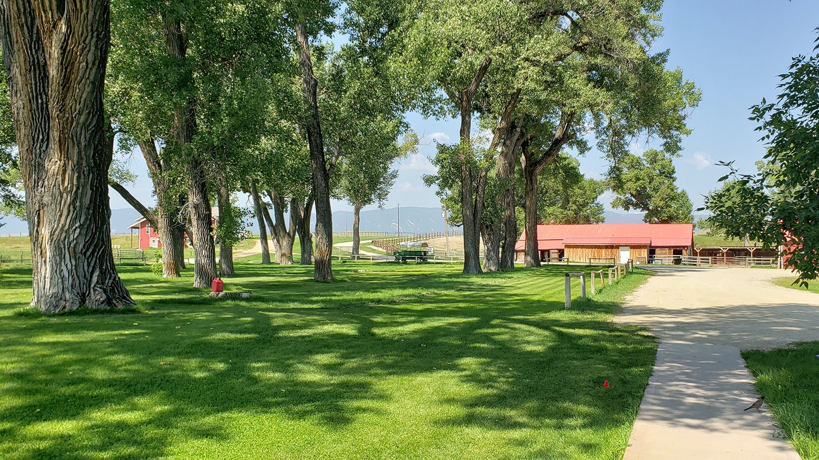 The grounds at the TA Ranch.